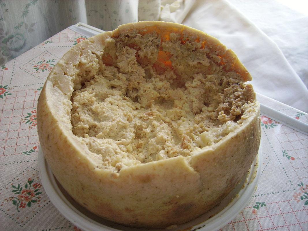 casu marzu cheese from sardinia