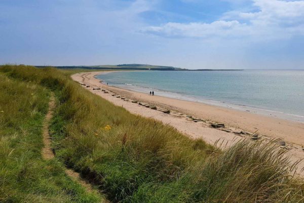 21 Incredible Places to See on the Jurassic Coast + free map included!