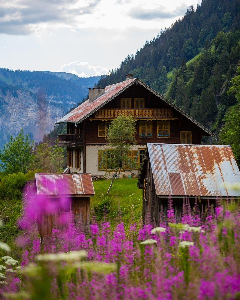 houses and flowers in cirque des fonts