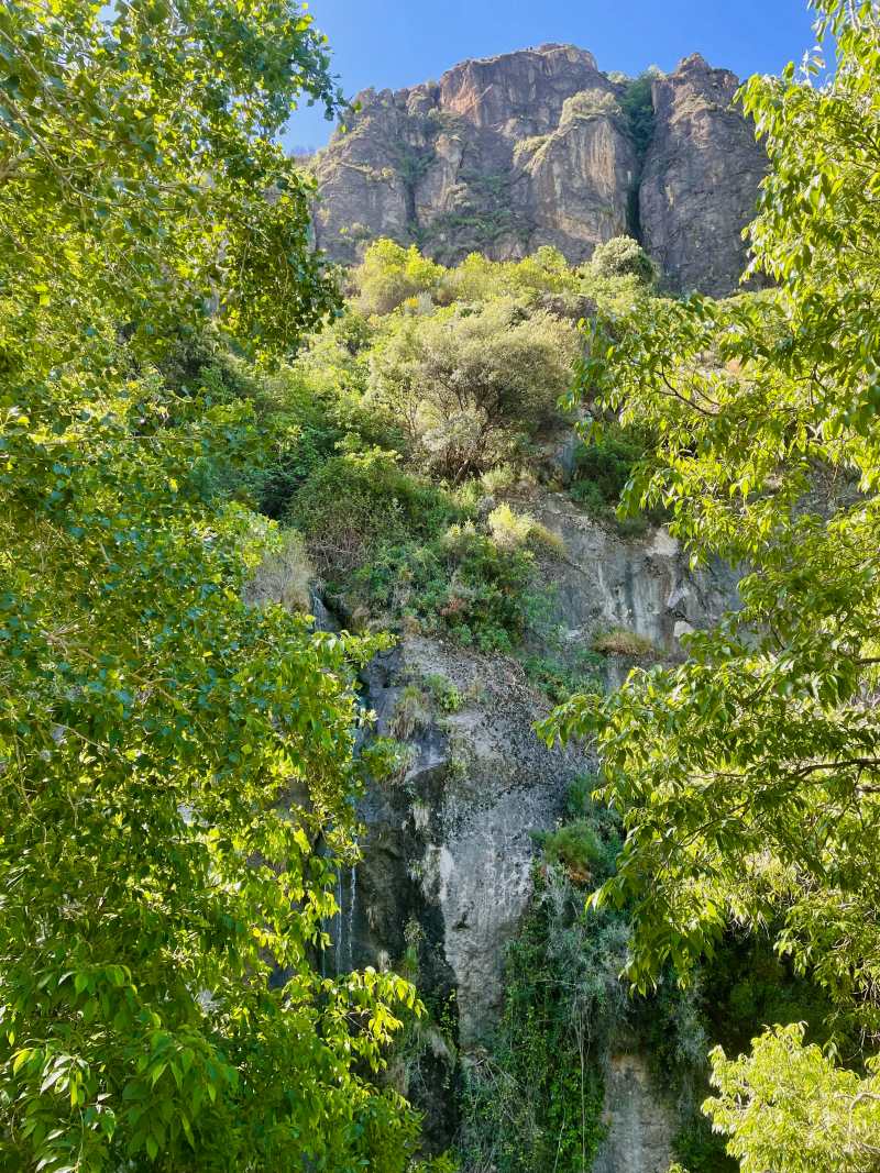 beautiful rock wall on the hike