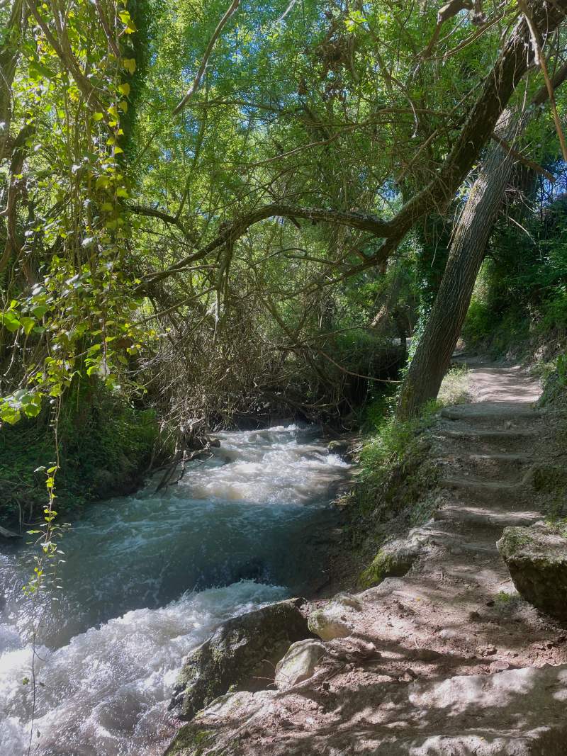 trail following the riverbed