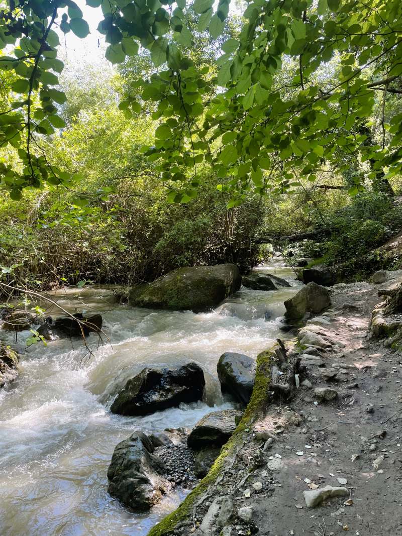 way to the first bridge