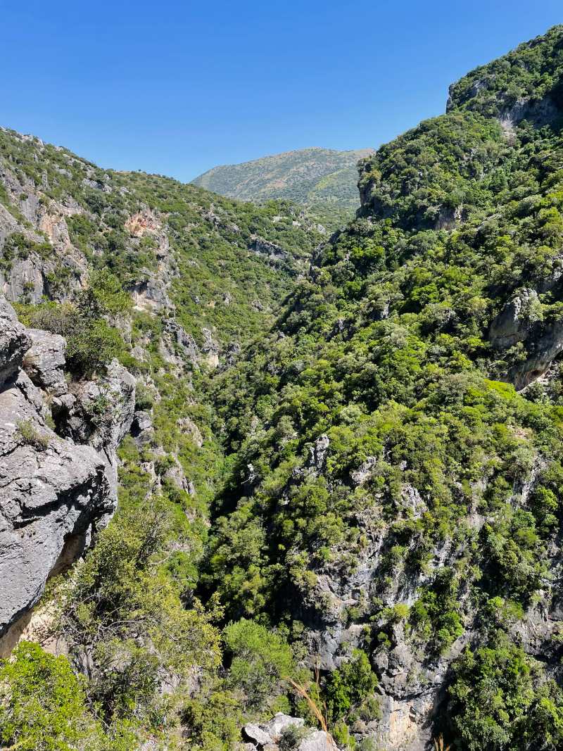 amazing nature on the sendero la garganta verde