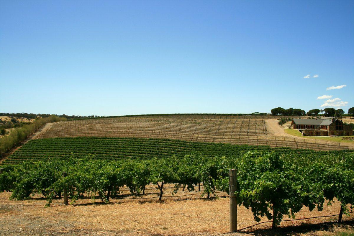 barossa valley australia