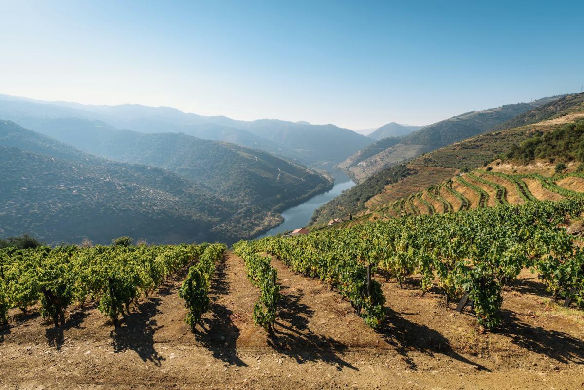 douro valley portugal