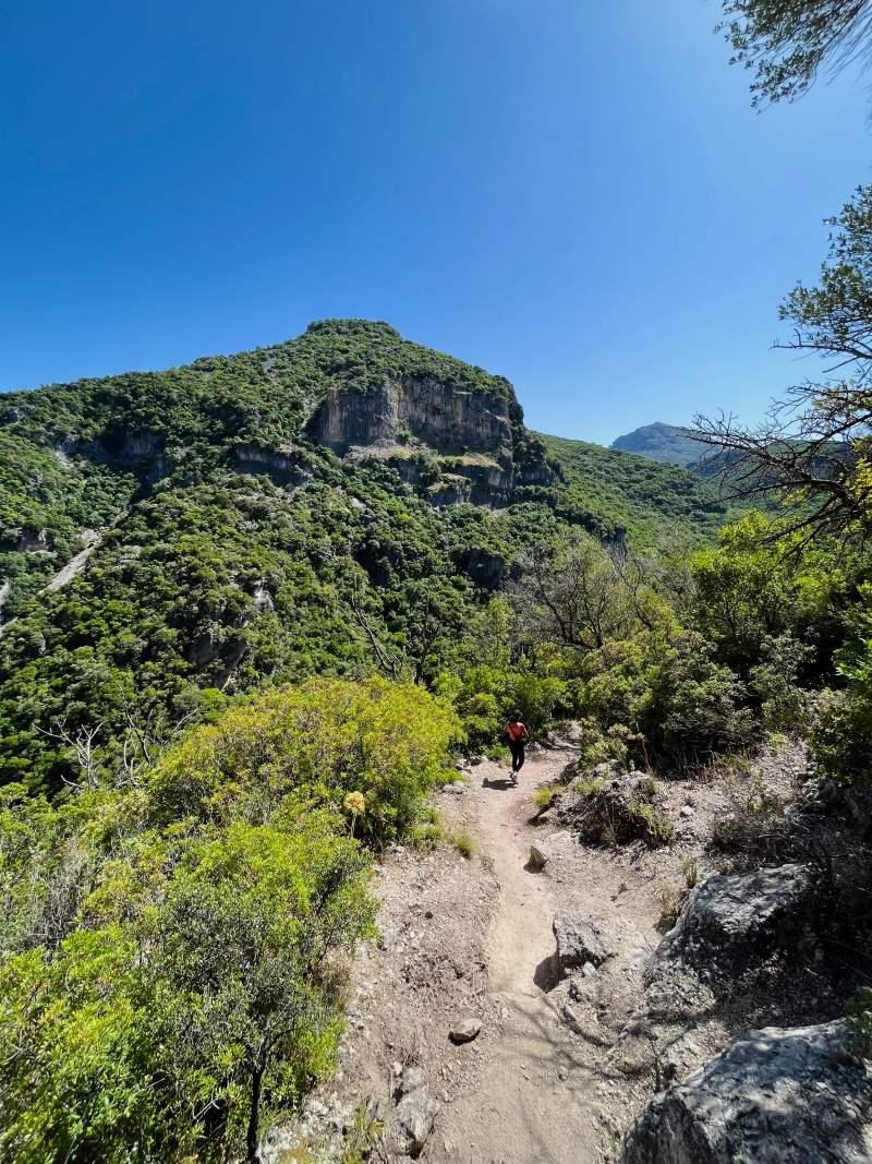 nes on la ruta garganta verde