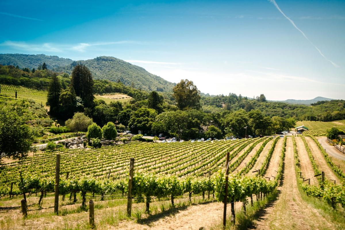 sonoma valley is one of the world's best wine regions