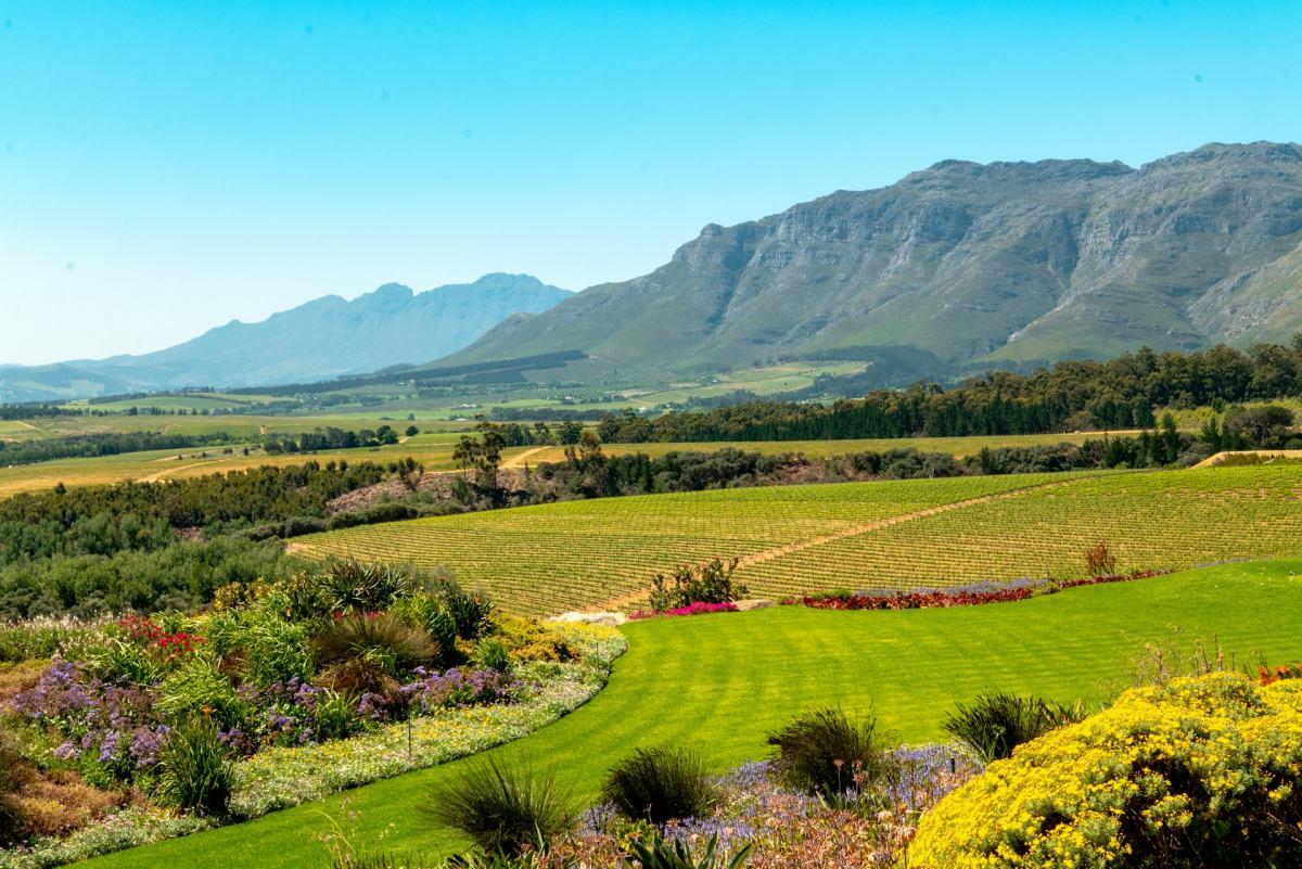 stellenbosch south africa wine region