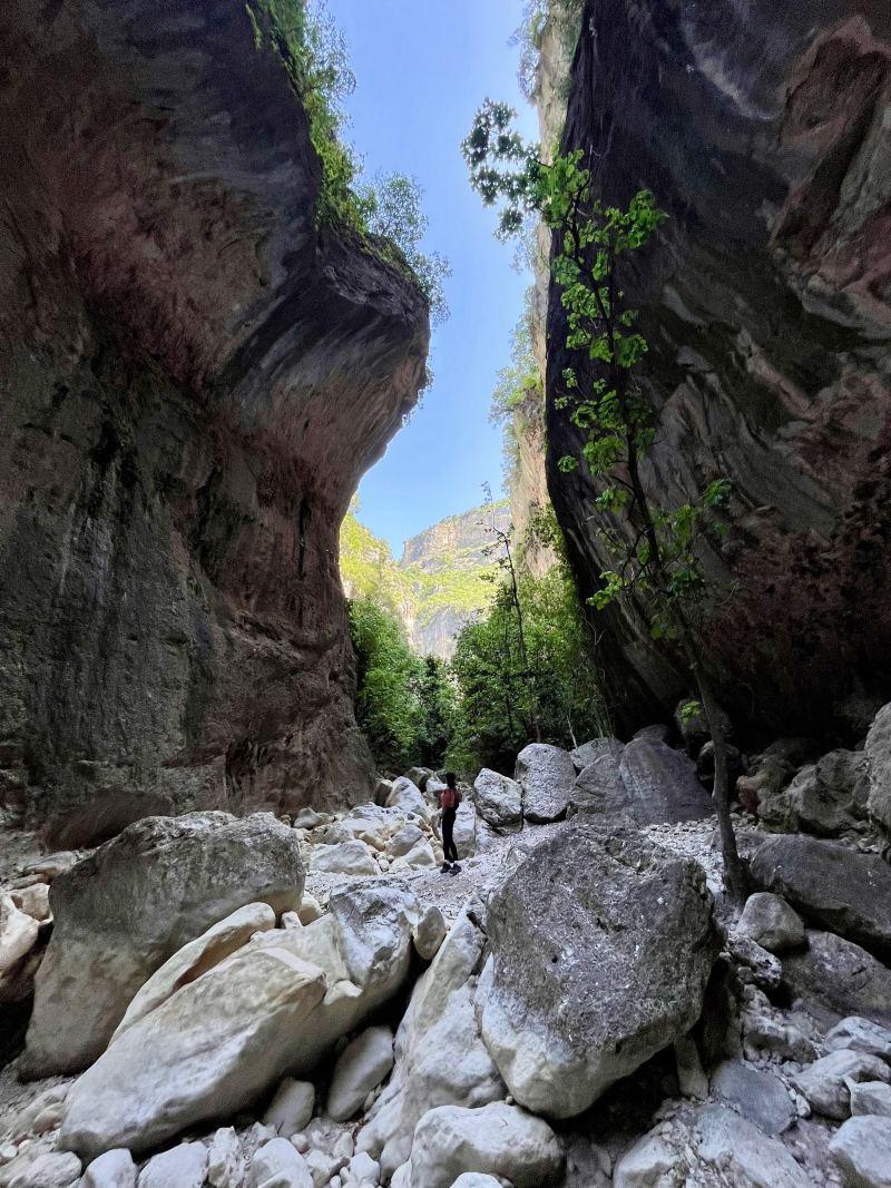 tiny nes inside the canyon