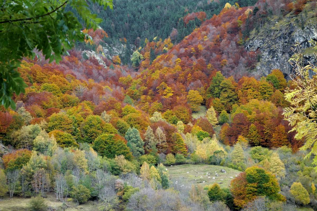 colorful pyrennees gavarnie