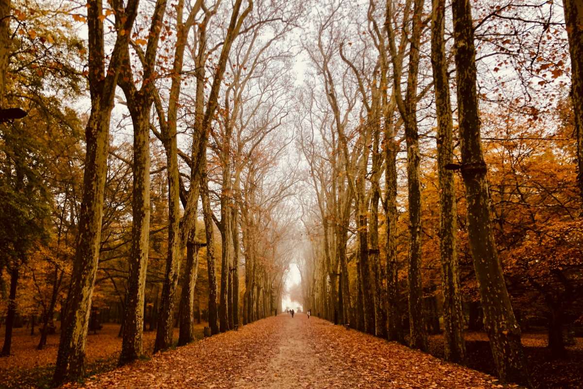 loire valley during the fall season