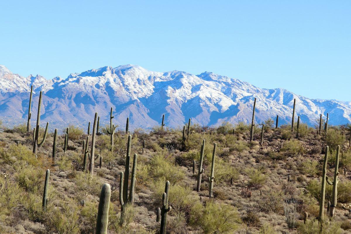 tucson arizona in january