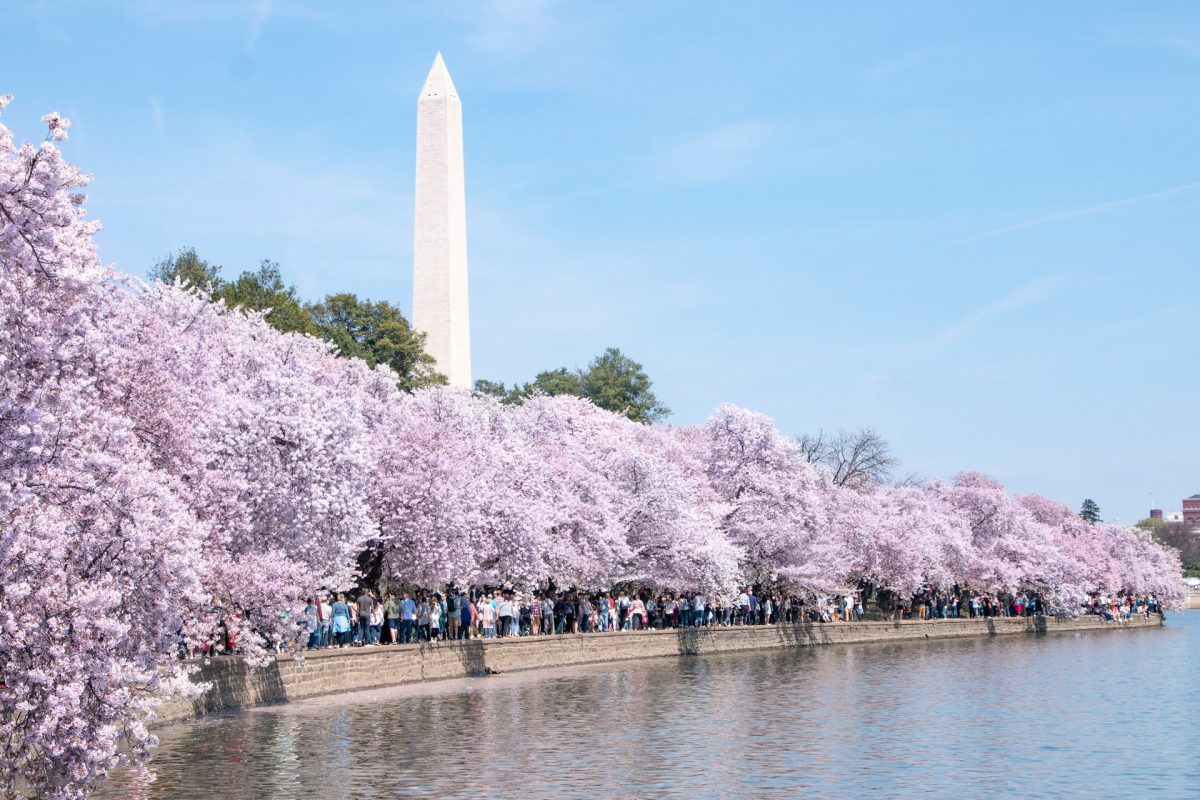 15 Best Places to Visit in March in the US You’ll Absolutely Love