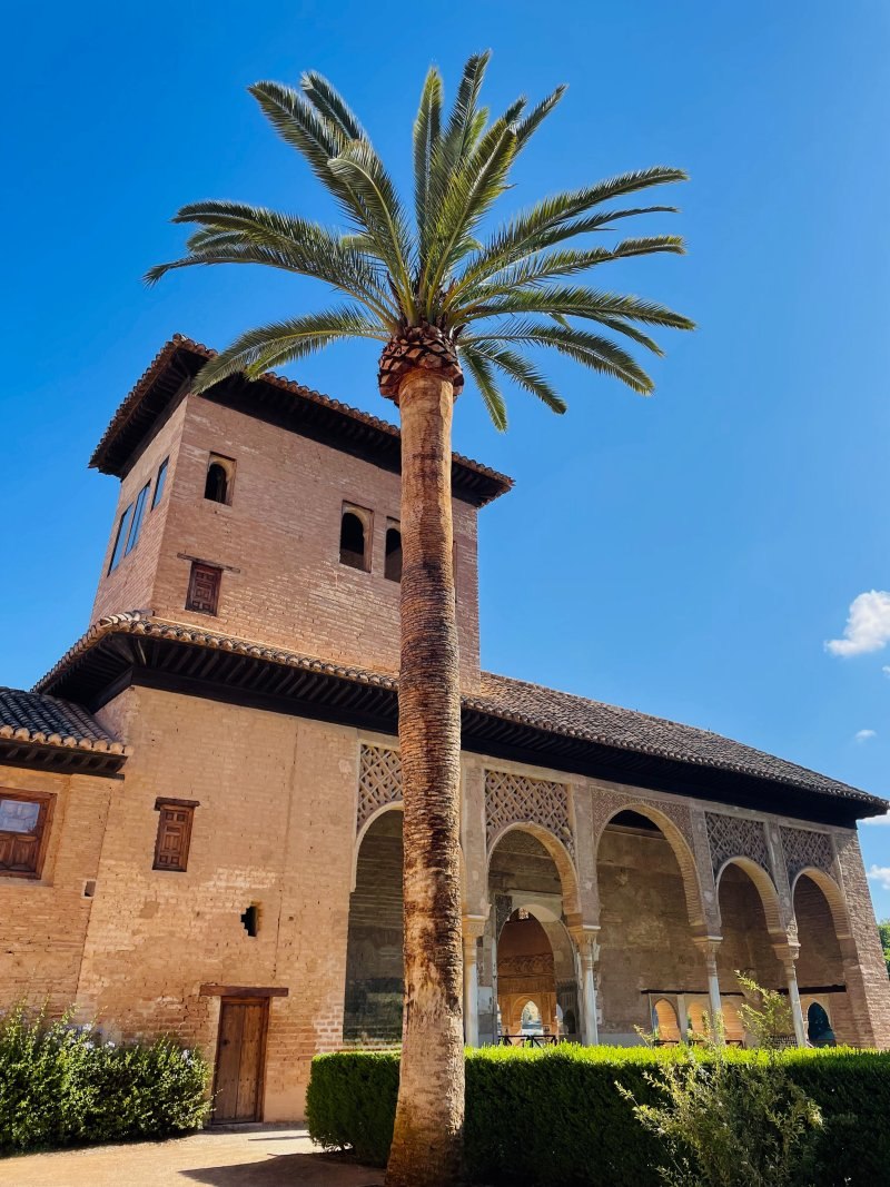 nasrid palace palm trees