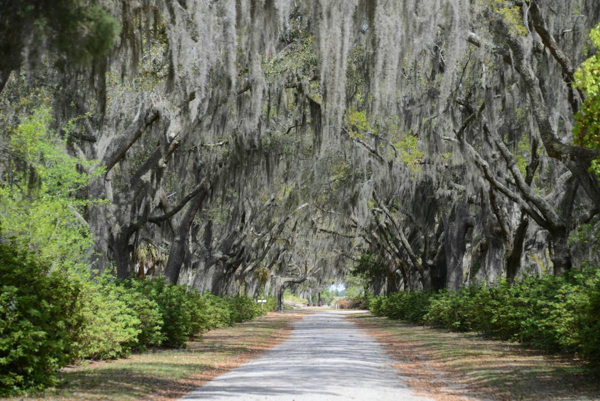 savannah is a top place to travel in the us in february