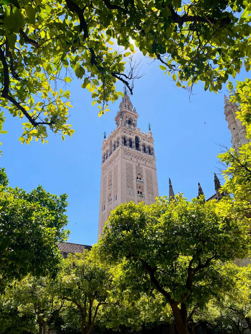 la giralda de la catedral de sevilla