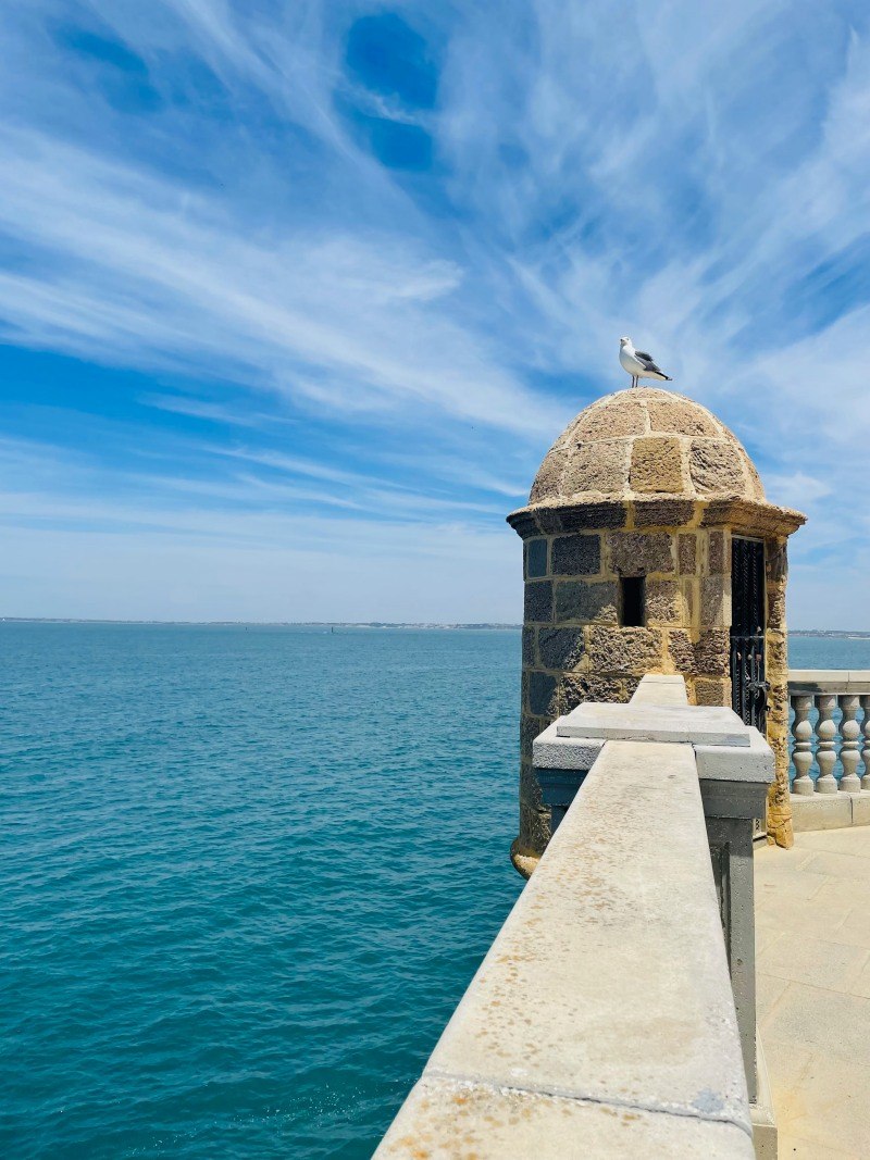 ocean view from santa catalina castle