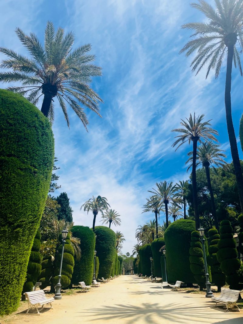 parque genoves in cadiz