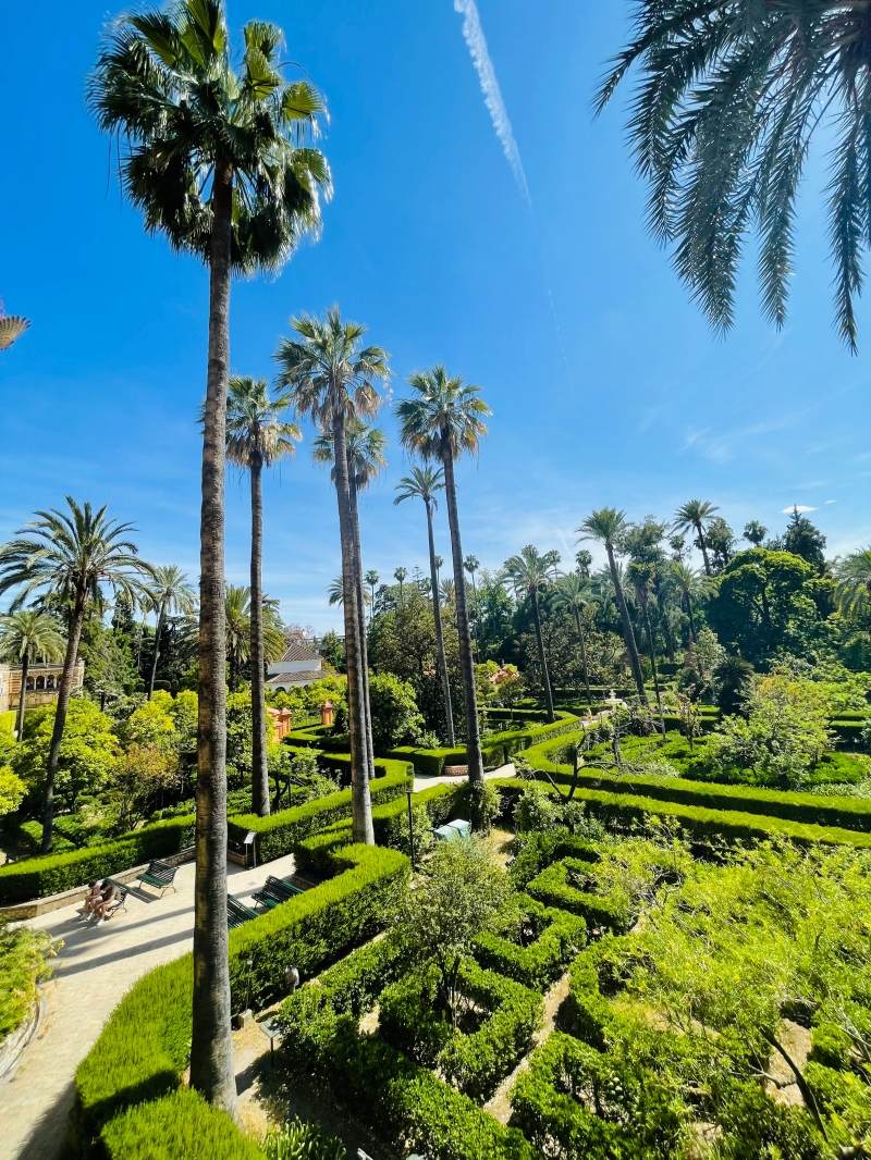 real alcazar wonderful garden