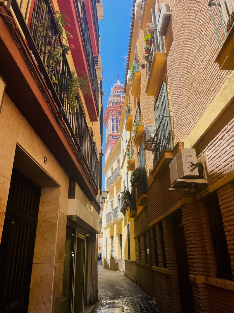 wandering the old town is a must when spending 2 days in seville