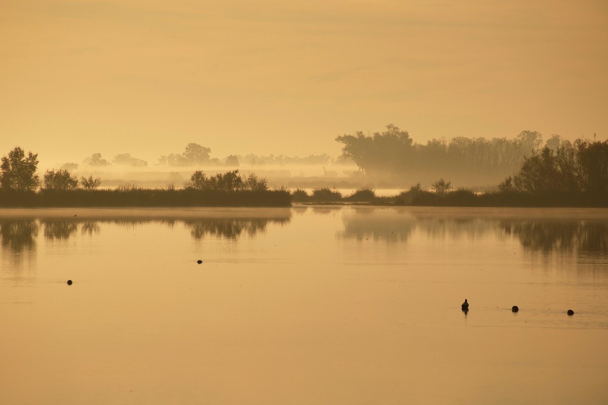 doñana national park