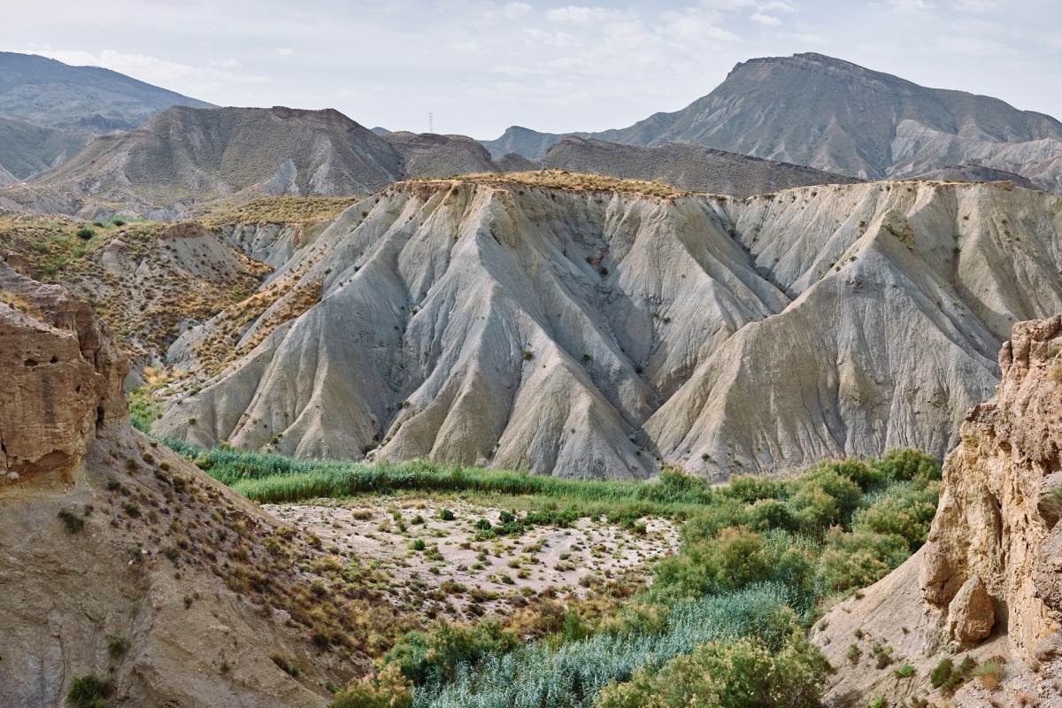 tabernas desert